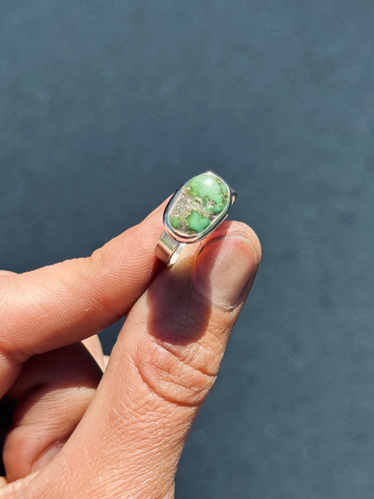 Sonoran Gold Turquoise Ring 6